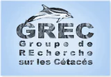 GREC — Groupe de recherche sur les cétacés