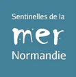 Les Sentinelles de la Mer Normandie