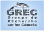 Groupe de REcherche sur les Cétacés